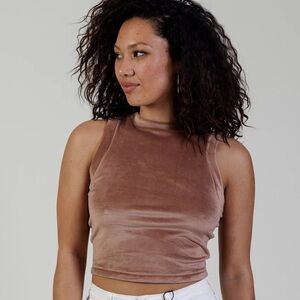 Skims Velour Velvet crop top in Sienna Women's Size 3X
